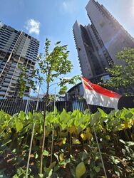 Hillock Green (D26), Apartment #631002541